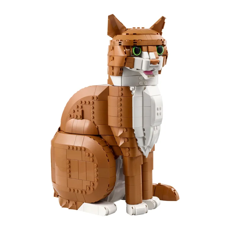 LEGO Oranje kat