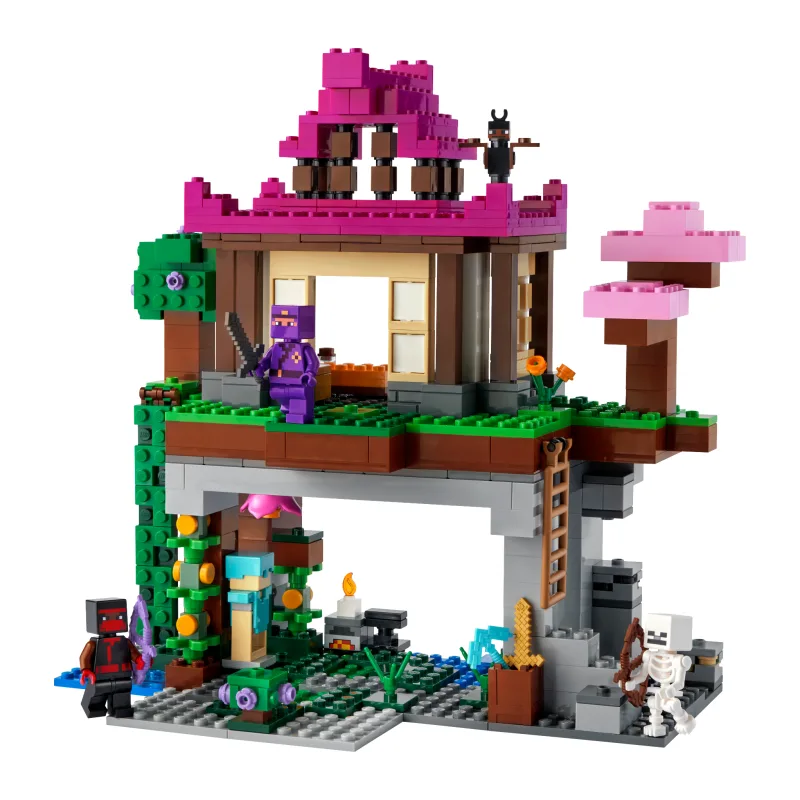 LEGO De Trainingsplaats